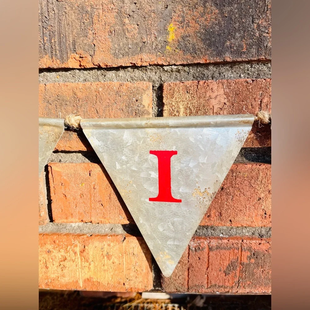 *Believe Metal Pennant Garland 45”